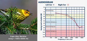 Typical audiogram for people above 60 years old.