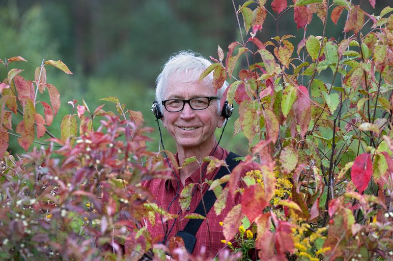 lang among dogwood shrubs 1500X1000 
